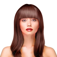 Wig - long, straight, brown