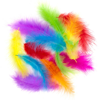 Turkey feathers - colorful
