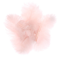 Turkey feathers - nude