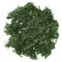 Dark green moss 30g
