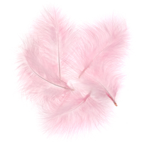 Turkey feathers - pink