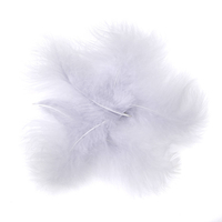 Turkey feathers - gray