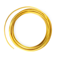 Gold metal wire 2 mm, 5 m