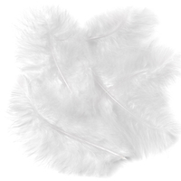 Turkey feathers - white