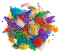 Pióra bażanta - 4-7 cm - Brights